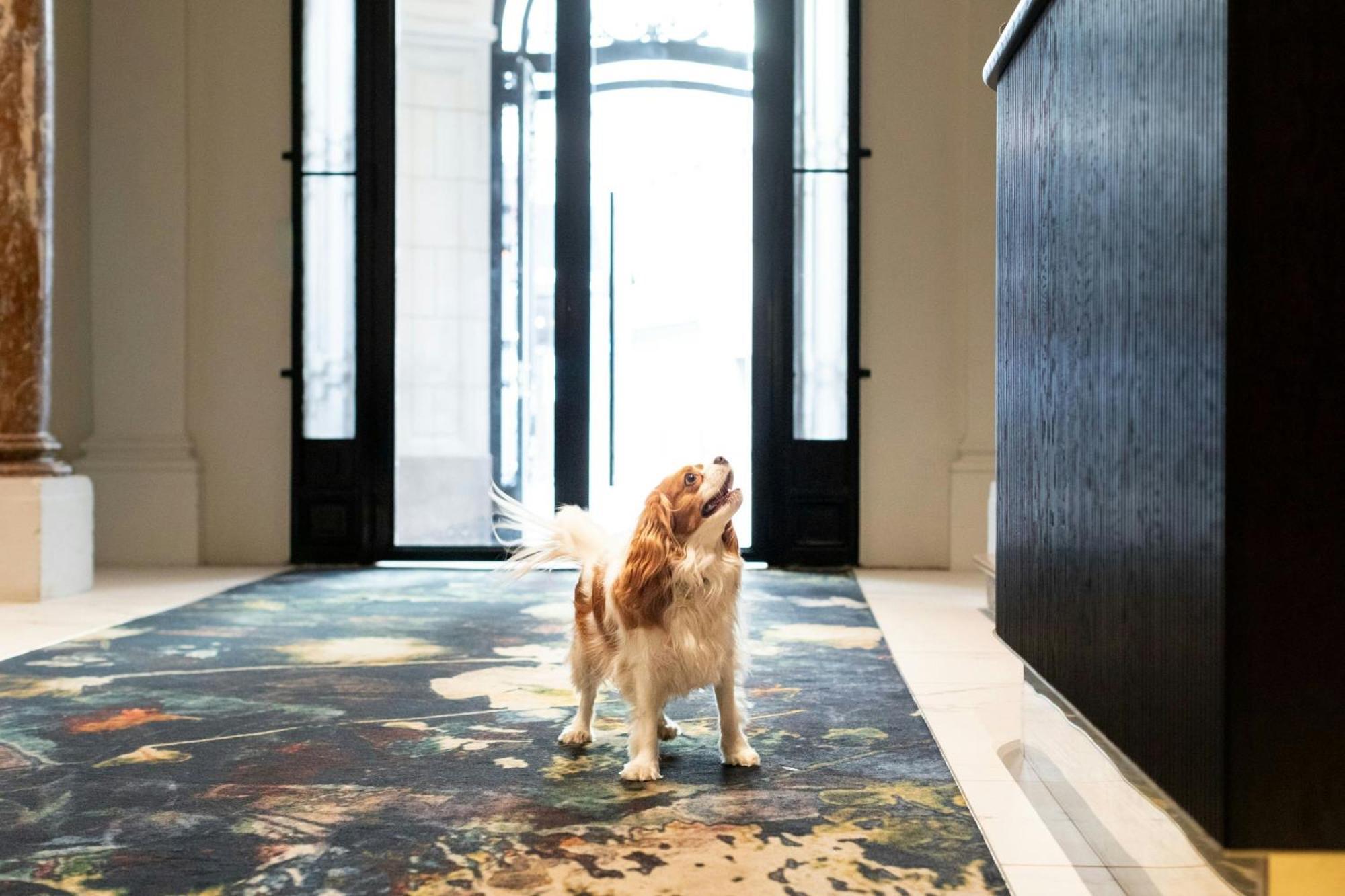 Hotel Sapphire House Antwerp, Autograph Collection By Marriott Exterior foto
